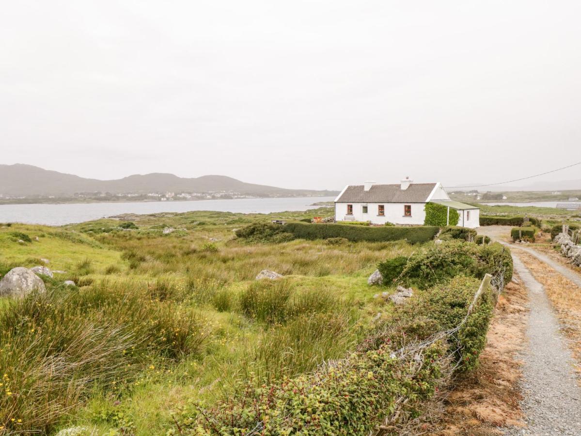 The White House Villa Roundstone Exteriör bild